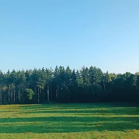 Διαμέρισμα Gemuetliches Im Kottenforst Naehe Bonn *