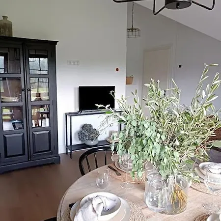 Διαμέρισμα Gemuetliches Im Kottenforst Naehe Bonn Meckenheim (North Rhine-Westphalia)