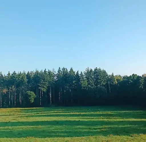 Apartment Gemuetliches Im Kottenforst Naehe Bonn *